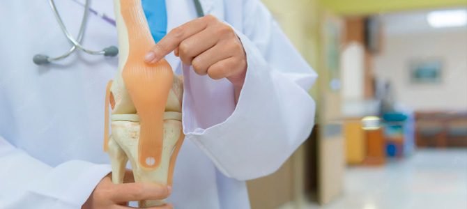 Long-Rodilla y musculos